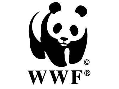Logo Fundacji Przyrody Dzikiej — branding marki