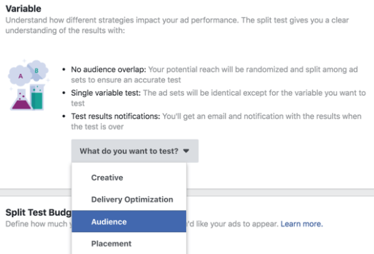 Advanced Facebook Ads Tips, split tests for audience