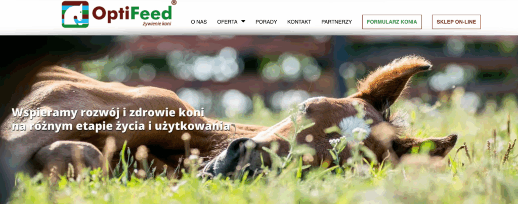 OptiFeed website, Case study OptiFeed